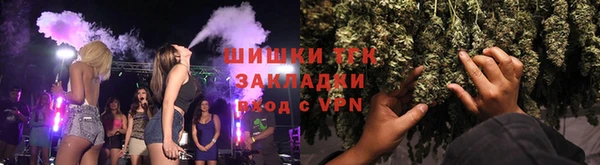 хмурый Абаза