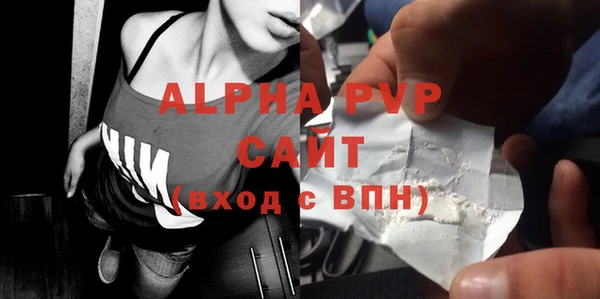 хмурый Абаза