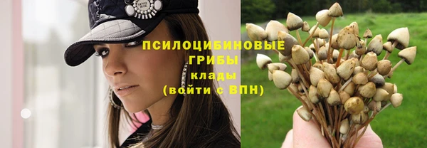 спиды Абинск