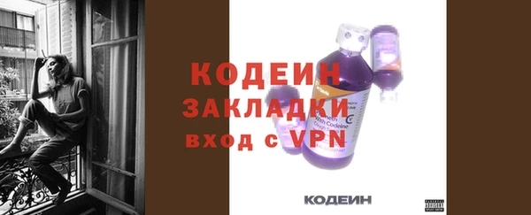 хмурый Абаза