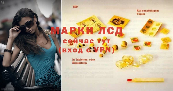 хмурый Абаза