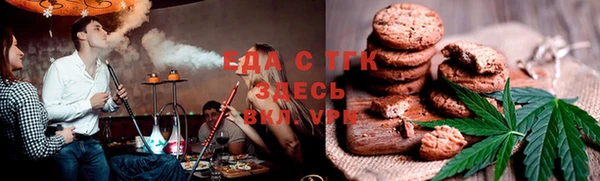 хмурый Абаза