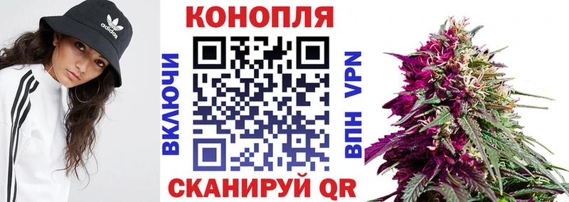 Конопля AK-47 Чебаркуль